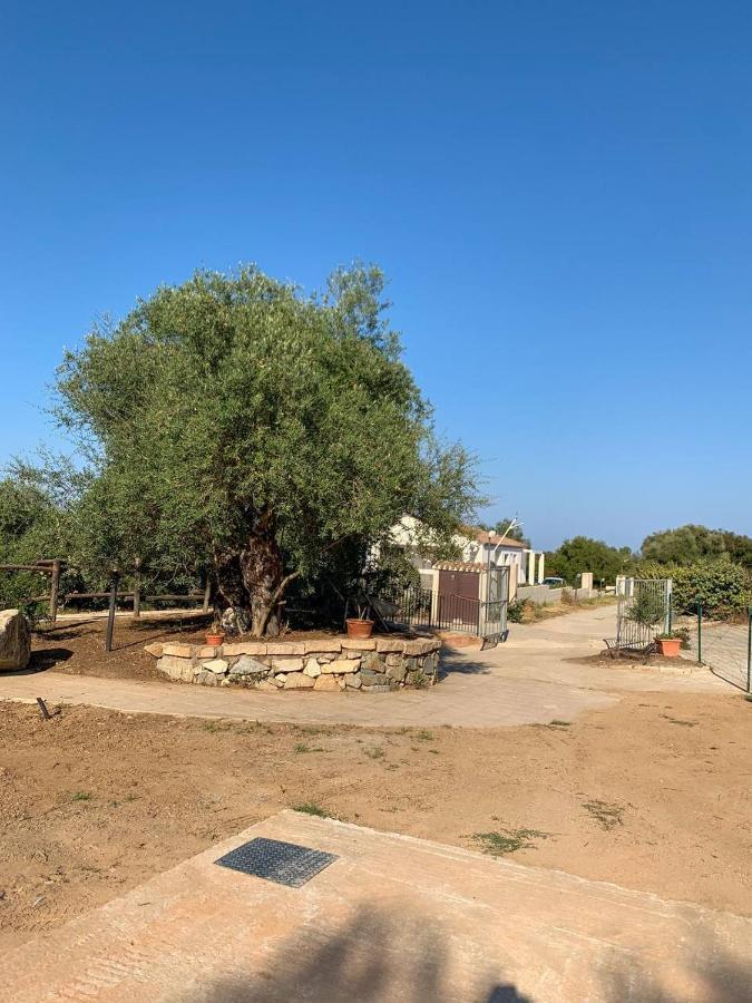 Villa Sardegna "Ri-Ale" A Due Passi Dal Mare Bari Sardo - Ogliastra - Cod Iun Q8596 Exterior foto